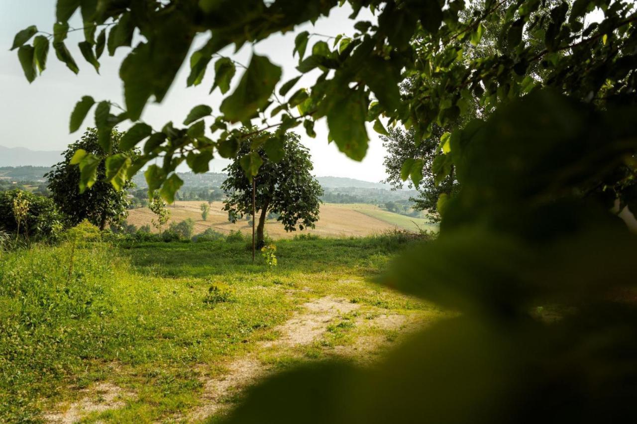 Tenuta I Gelsi Bed & Breakfast Benevento Exterior photo